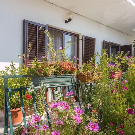 Apartment Vinka Trogir Eksteriør bilde
